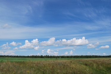 Similar image 21856348