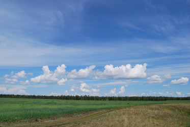 Similar image 21856350