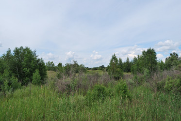 Similar image 21856358