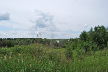 Similar image 21856359