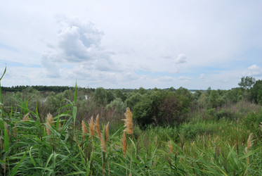 Similar image 21856360