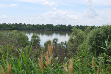 Similar image 21856361