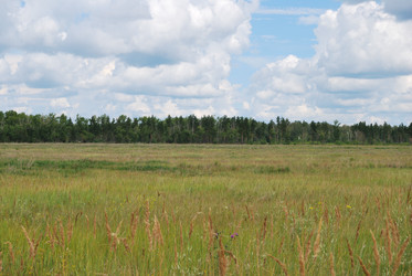 Similar image 21856362