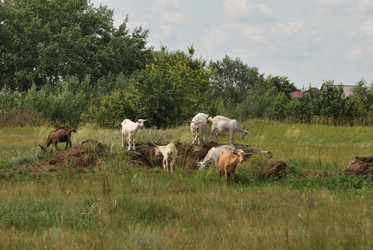 Similar image 21856368