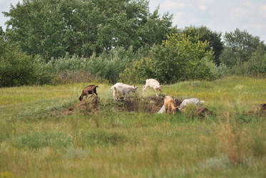 Similar image 21856369