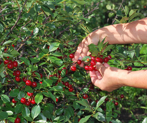 Similar image 21856370