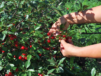 Similar image 21856371