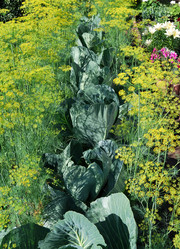 Similar image 21856372