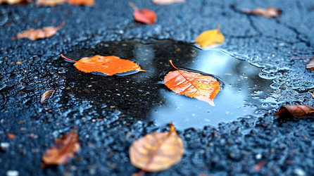 Similar image 21856157