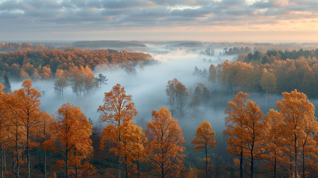 Similar image 21856159