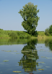 Similar image 21856644