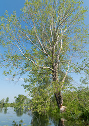 Similar image 21856645