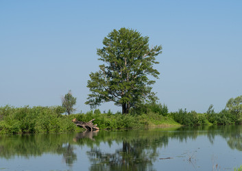 Similar image 21856646