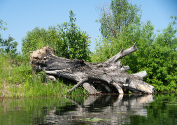 Similar image 21856647