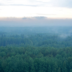 Similar image 21856605