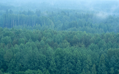 Similar image 21856606