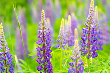 Similar image 21856621