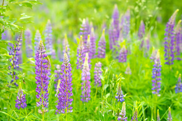 Similar image 21856622