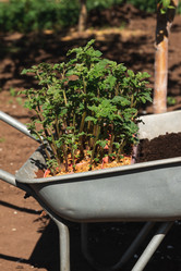 Similar image 21856629