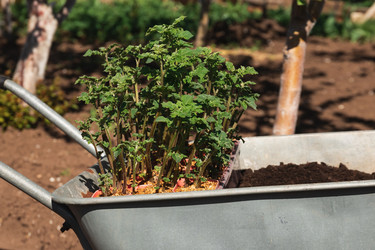 Similar image 21856630