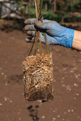 Similar image 21856631