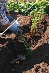 Similar image 21856632