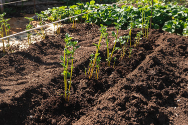 Similar image 21856634