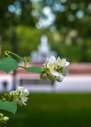 Similar image 21856593