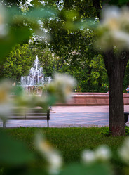 Similar image 21856594