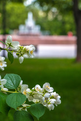 Similar image 21856595