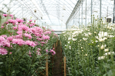 Similar image 21861232