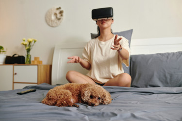 Similar image 21860466