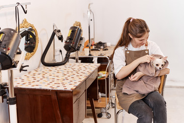 Similar image 21862489