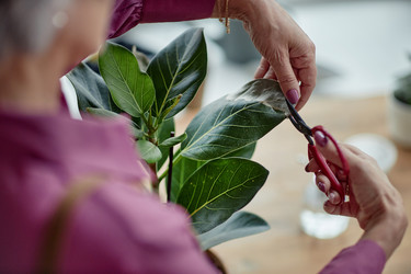 Similar image 21865218