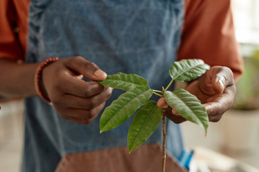 Similar image 21865116