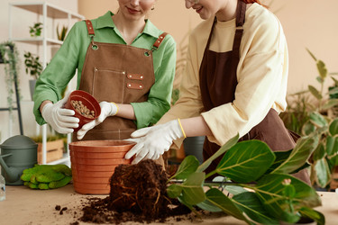 Similar image 21863743