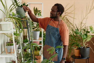 Similar image 21860781