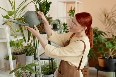 Similar image 21863645