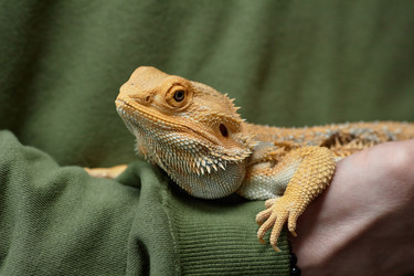 Similar image 21862720