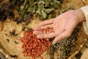 Similar image 21862318