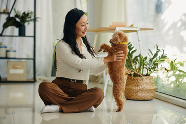 Similar image 21862737