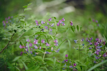 Similar image 21859889