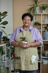 Similar image 21862907