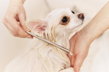 Similar image 21859376