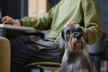 Similar image 21861558