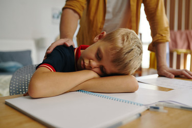 Similar image 21862724