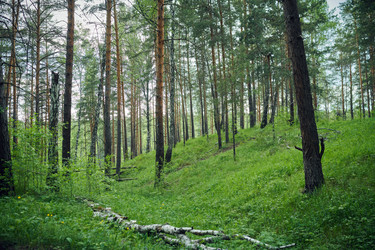 Similar image 21859916