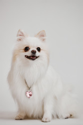 Similar image 21861578