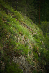 Similar image 21860494