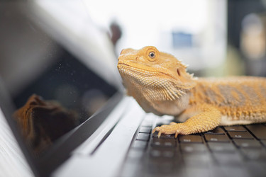 Similar image 21860992